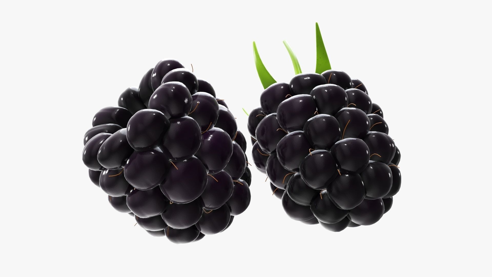 Blackberry two blackberries 3D model_4