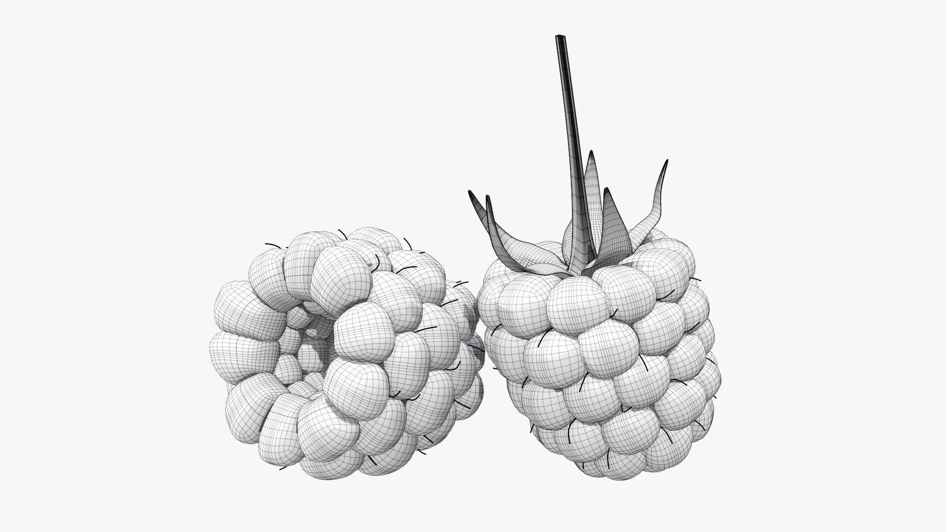 Blackberry two blackberries 3D model_5