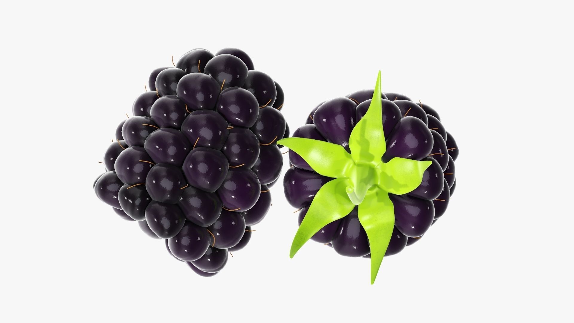 Blackberry two blackberries 3D model_3