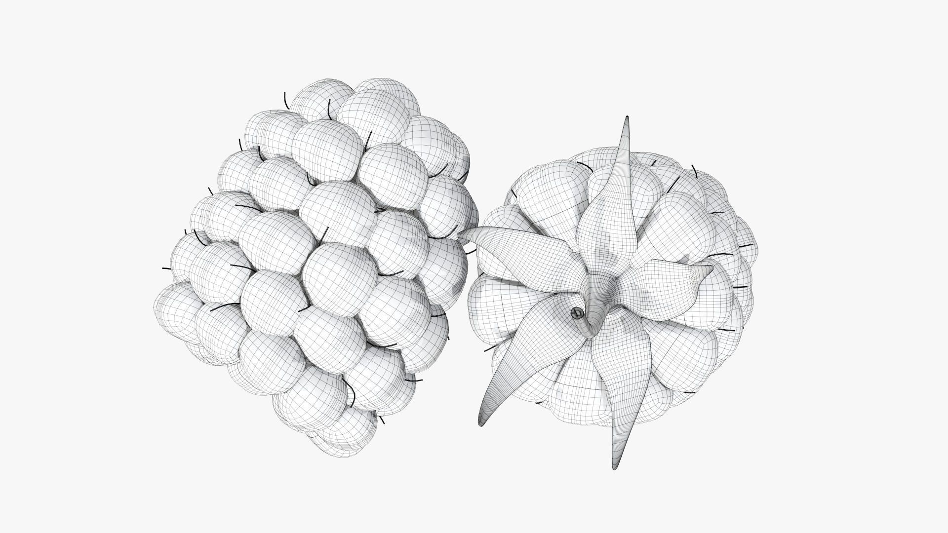 Blackberry two blackberries 3D model_8