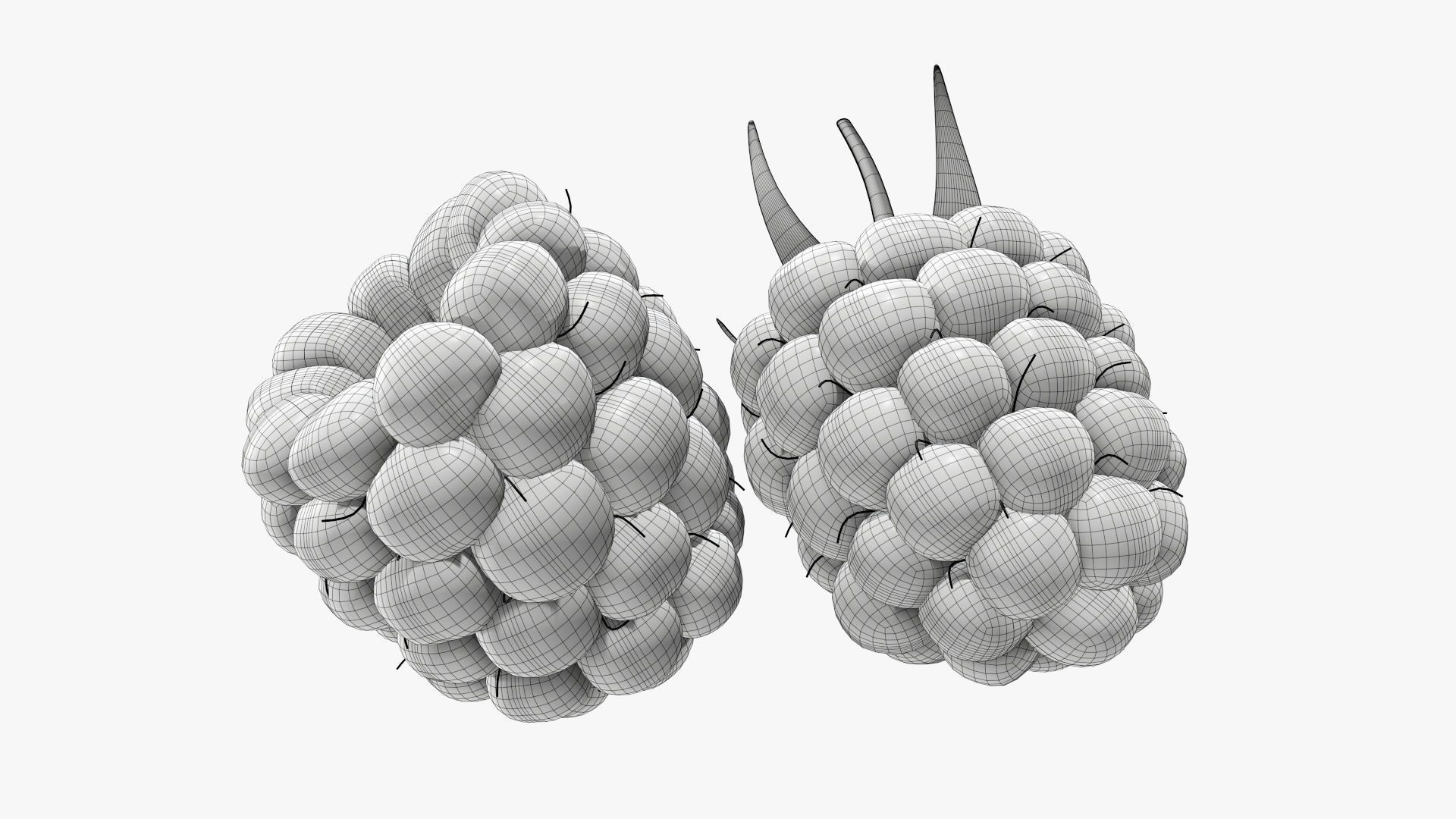 Blackberry two blackberries 3D model_9