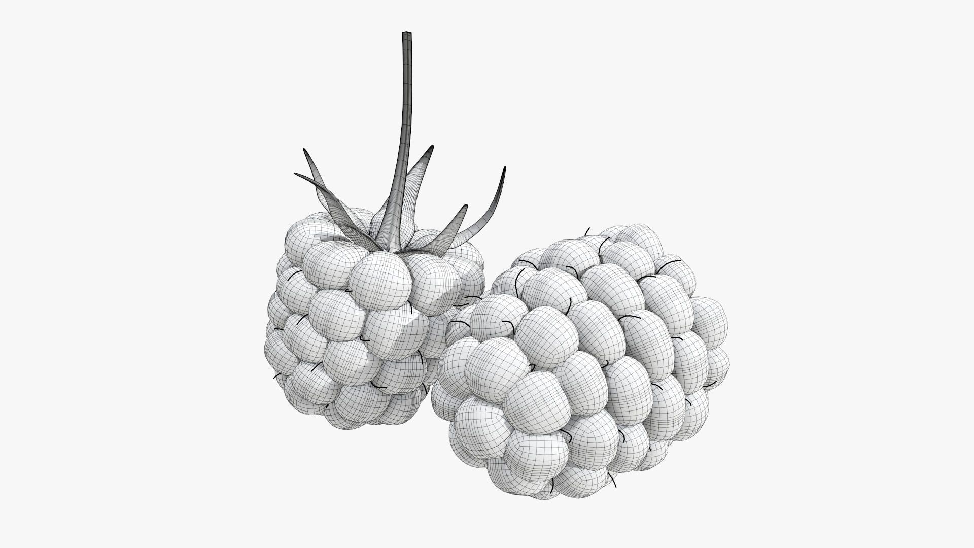 Blackberry two blackberries 3D model_6