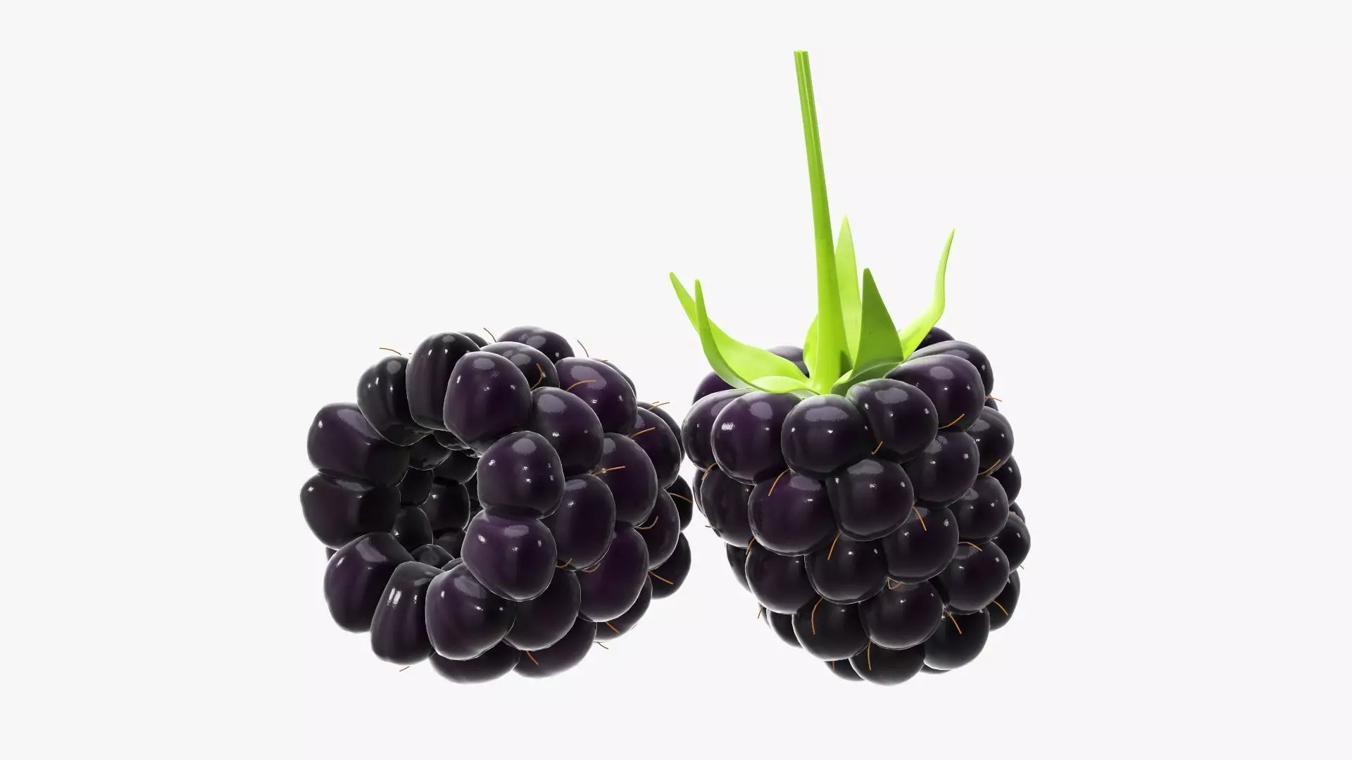 Blackberry two blackberries 3D model_0