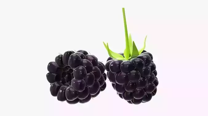 Blackberry two blackberries 3D model