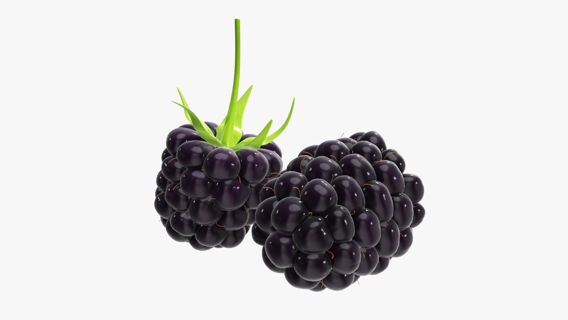 Blackberry two blackberries 3D model_1
