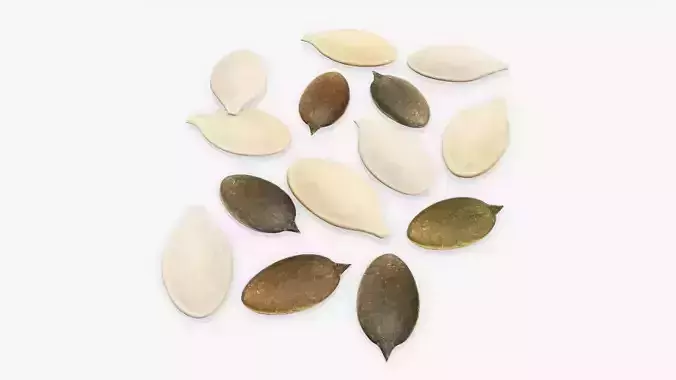 Seeds pumpkin  3D model