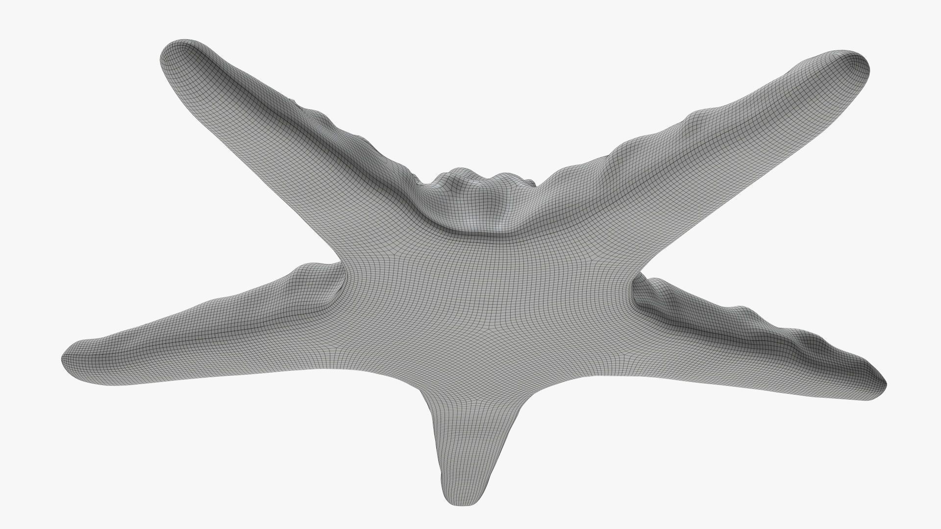 Sea star on a ground 3D model_9