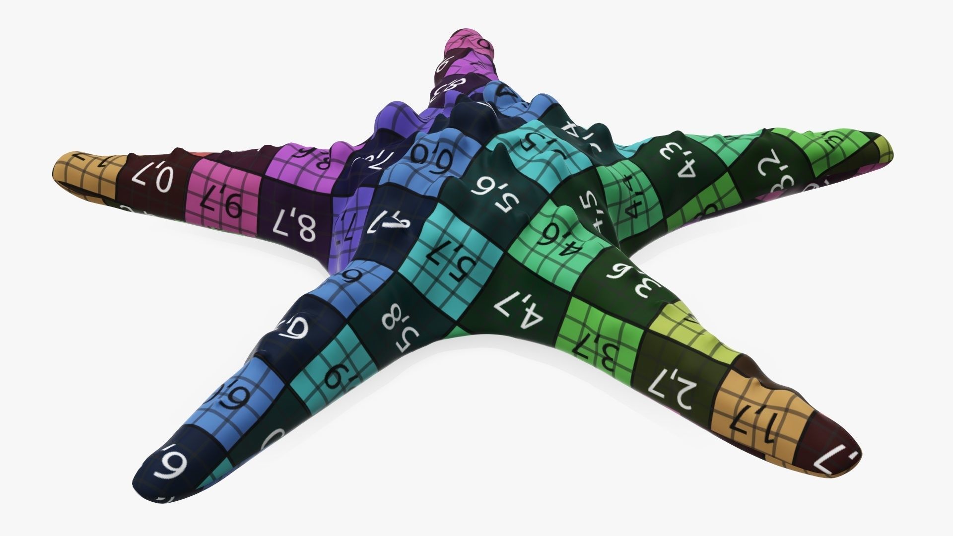 Sea star on a ground 3D model_11