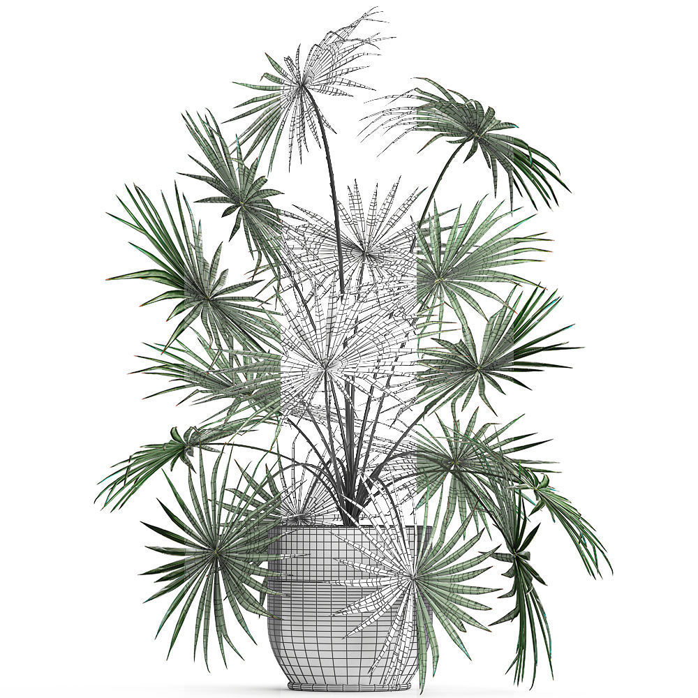 Decorative palm in a flowerpot 716 3D model_5