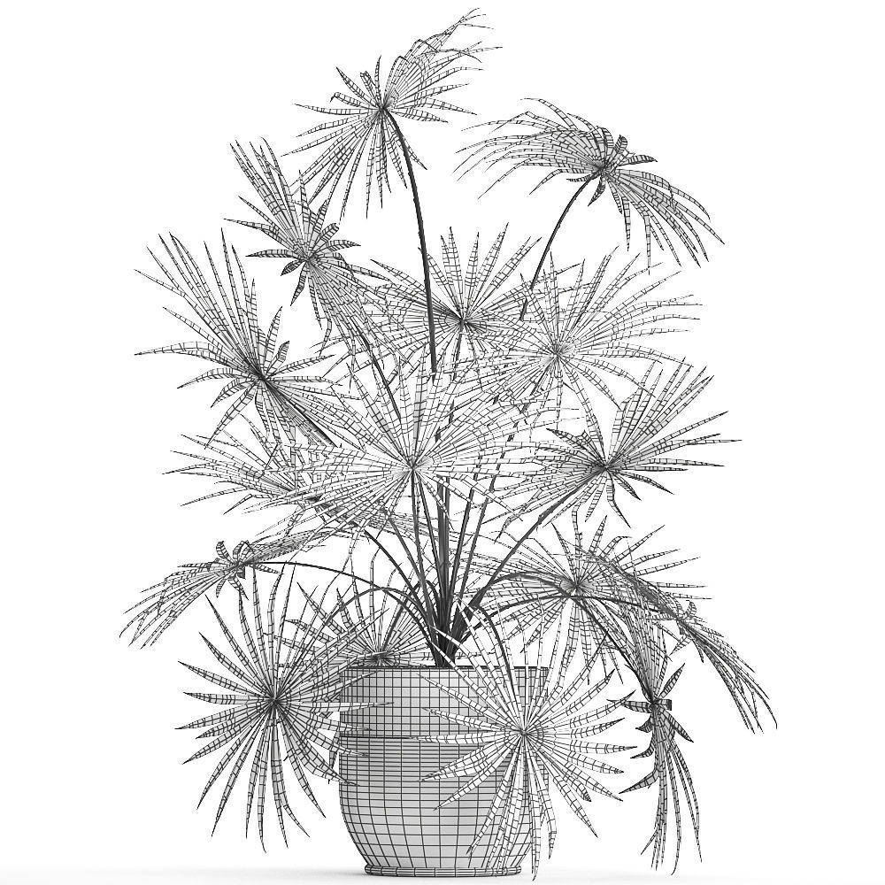 Decorative palm in a flowerpot 716 3D model_4