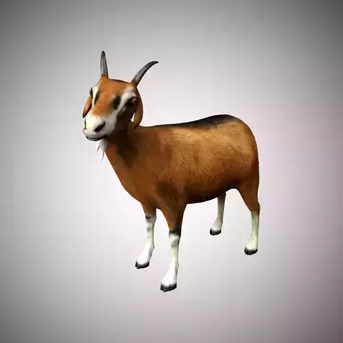 3d Goat Low-poly 3D model