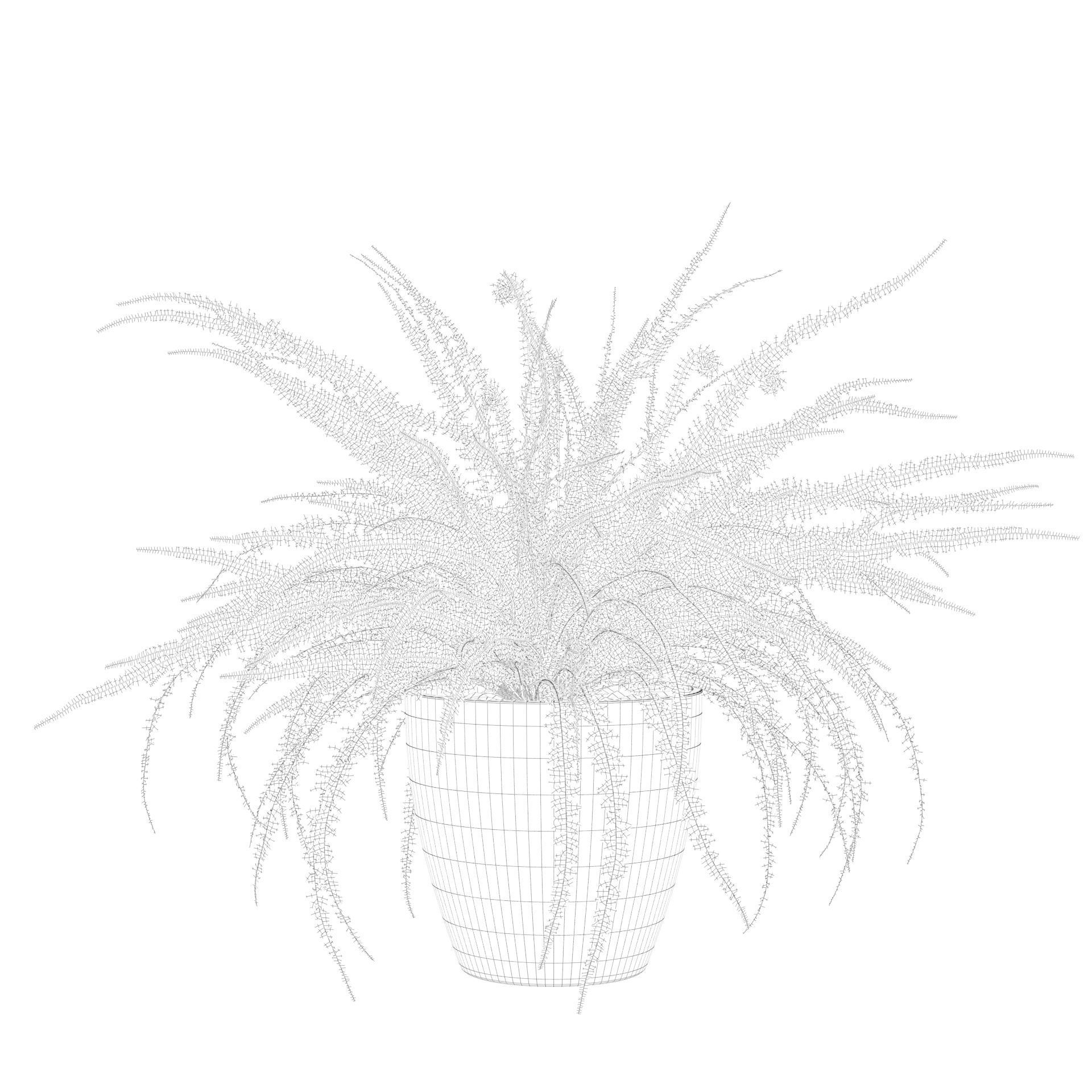 Fern in white pot 3D model_6