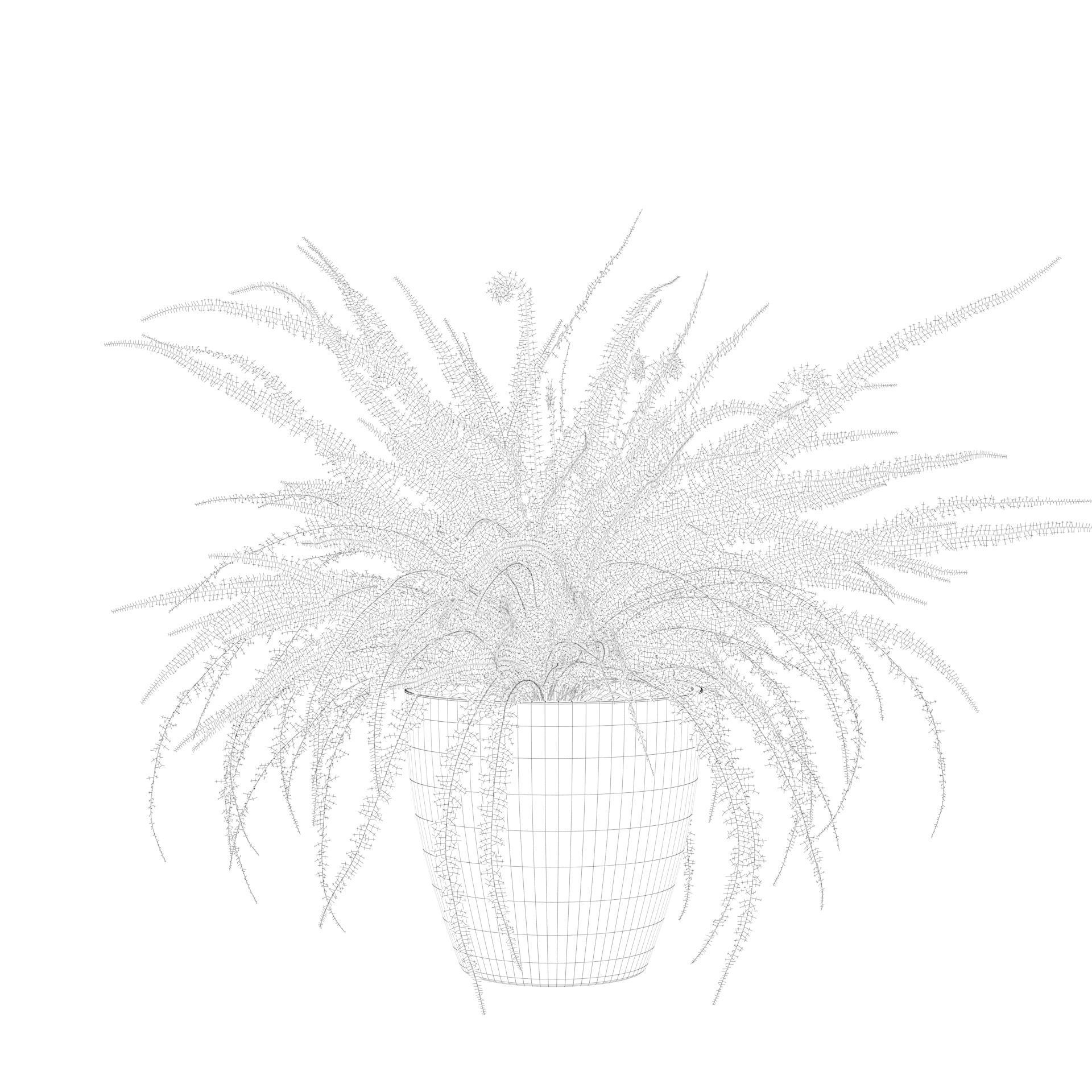 Fern in white pot 3D model_8