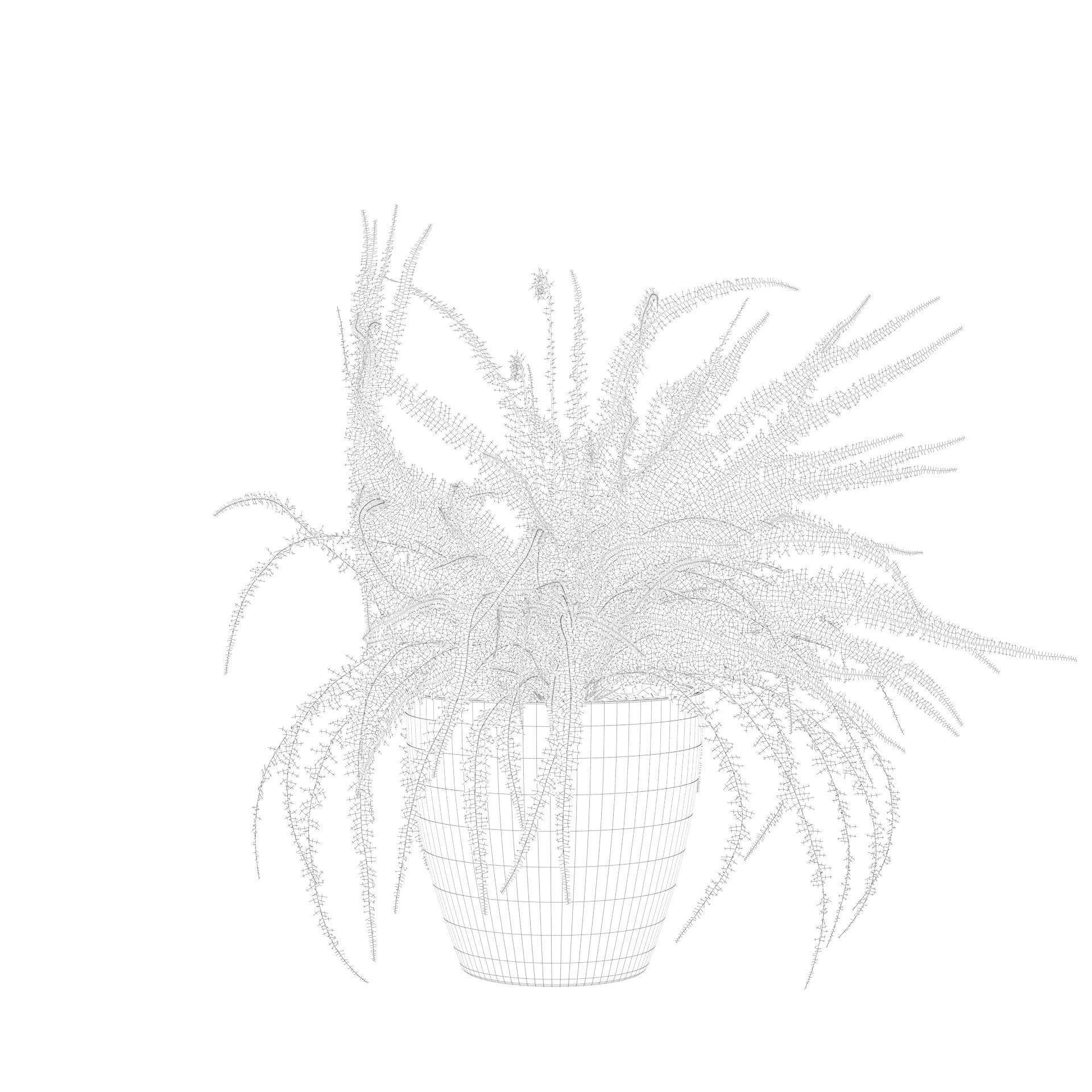 Fern in white pot 3D model_3