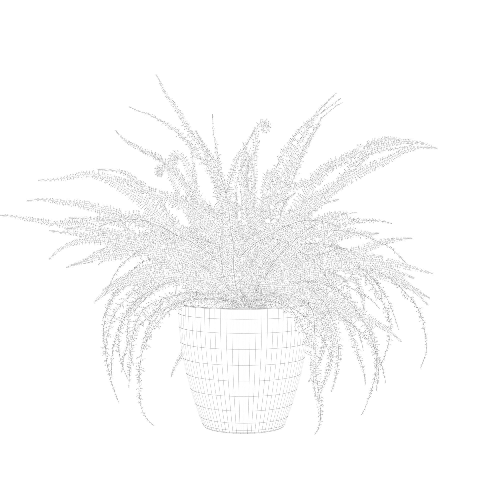 Fern in white pot 3D model_4