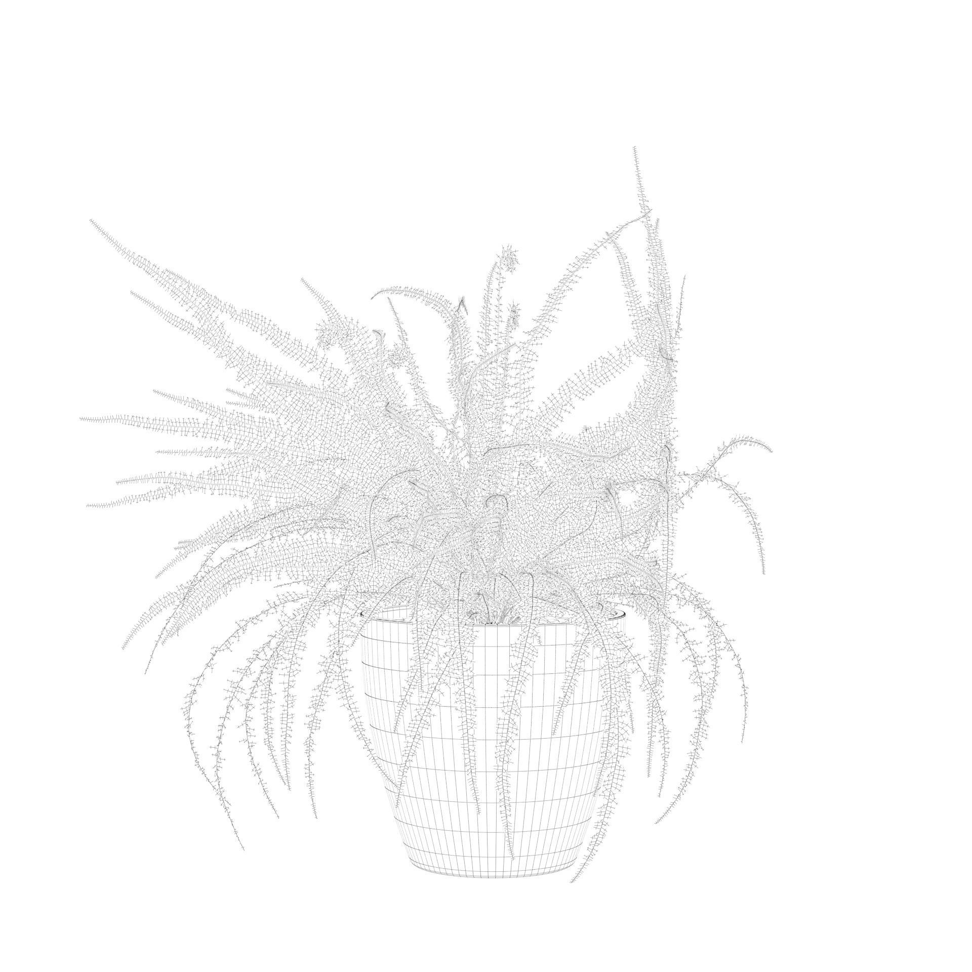 Fern in white pot 3D model_5
