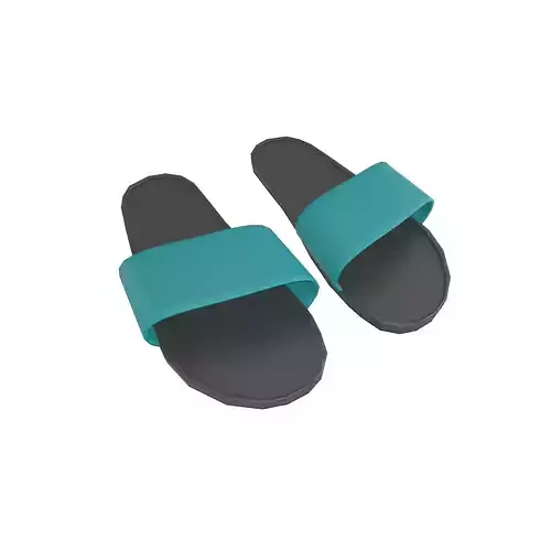 Flip Flops v4 013