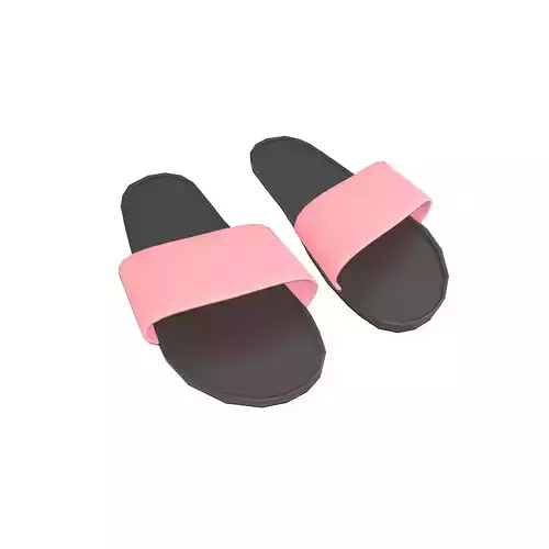 Flip Flops v4 015