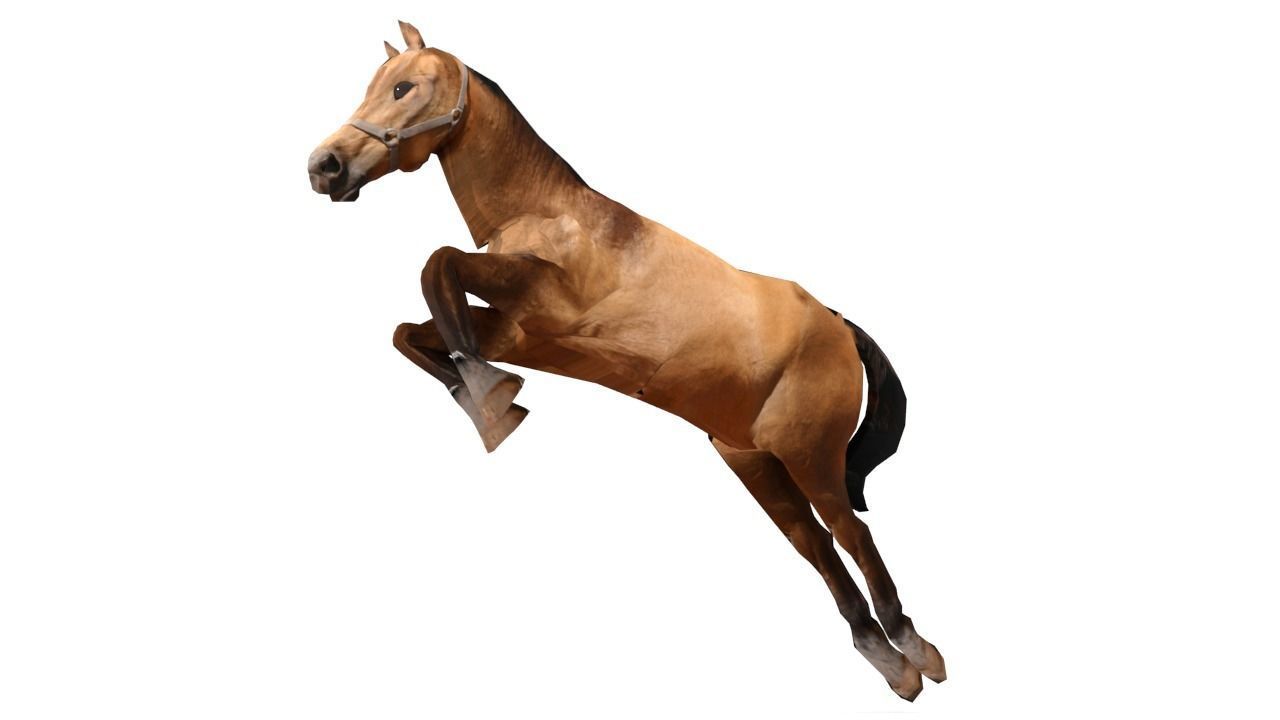 Horse 3D Model galloping Low-poly 3D model_9