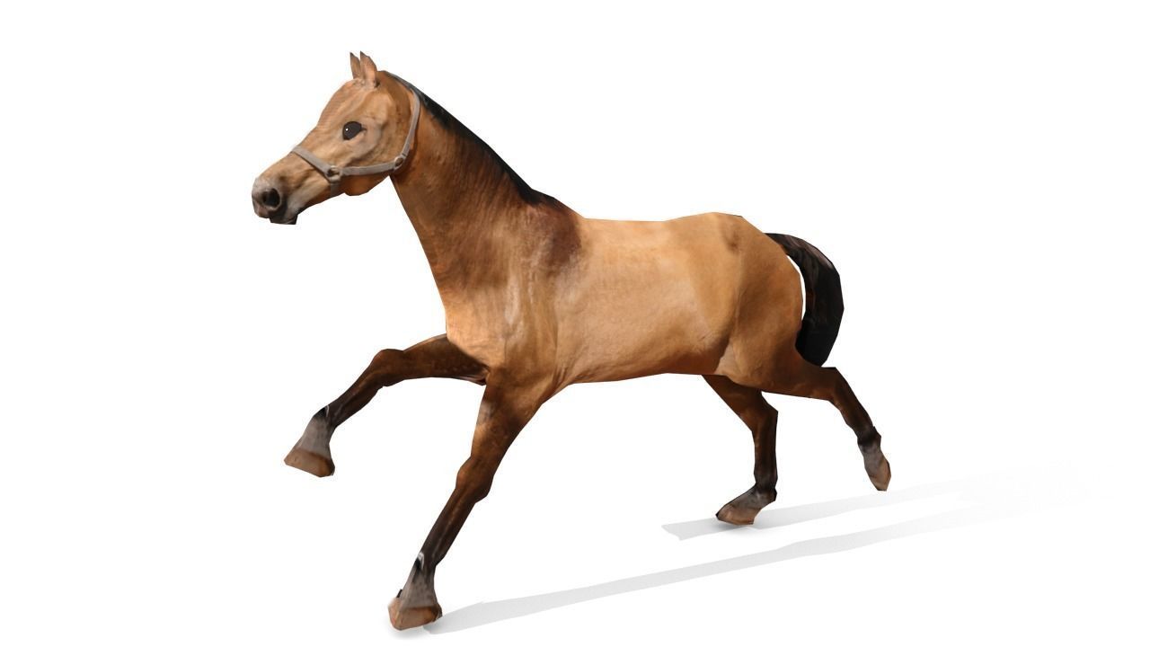 Horse 3D Model galloping Low-poly 3D model_14