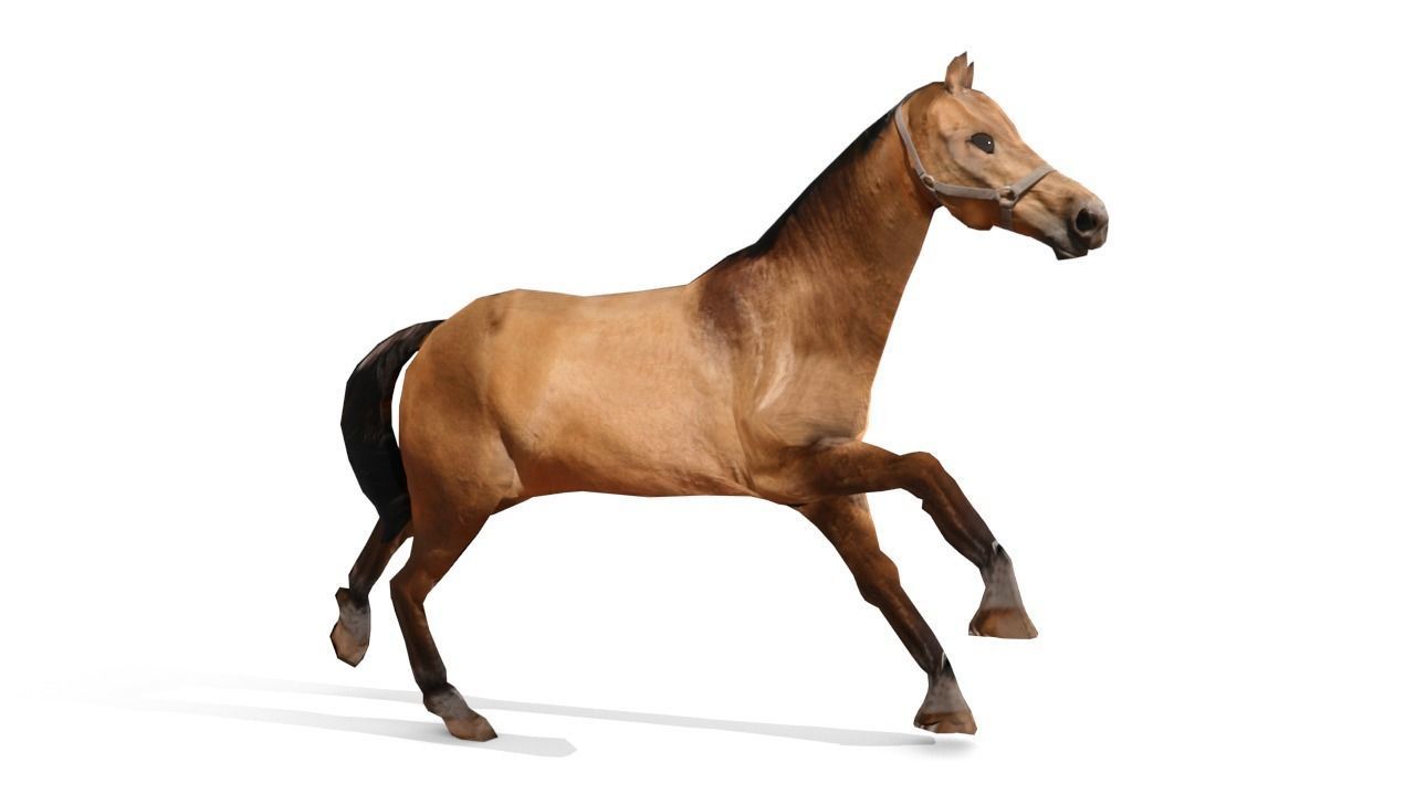Horse 3D Model galloping Low-poly 3D model_17