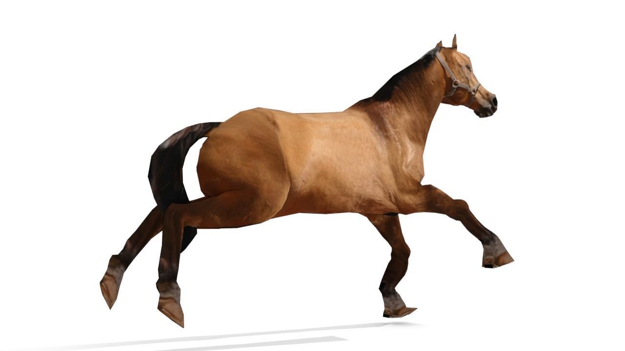 Horse 3D Model galloping Low-poly 3D model_5