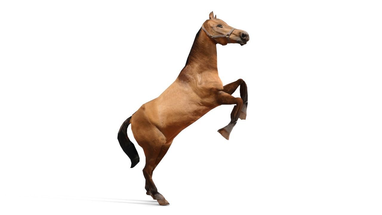 Horse 3D Model galloping Low-poly 3D model_11