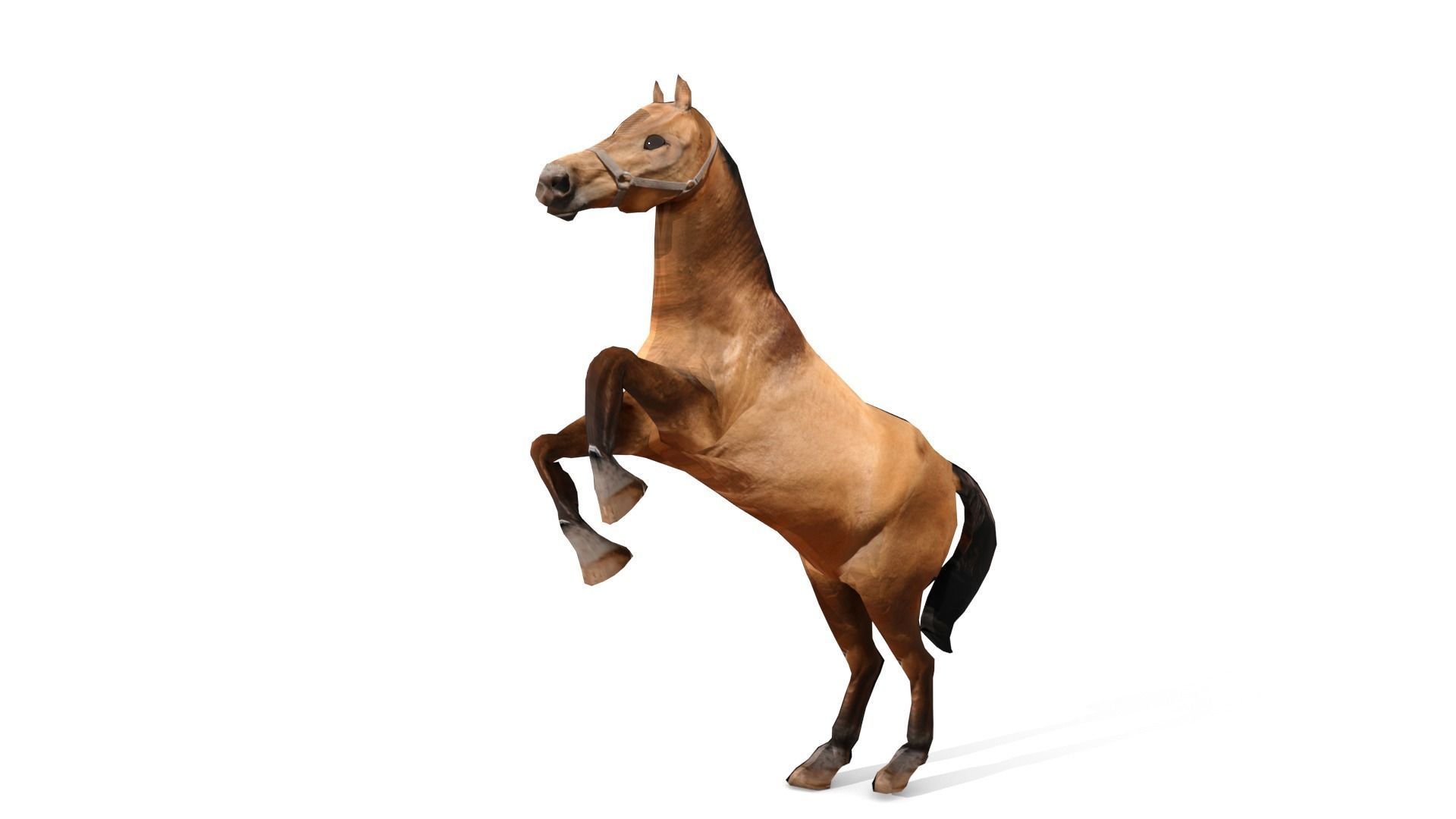 Horse 3D Model galloping Low-poly 3D model_1