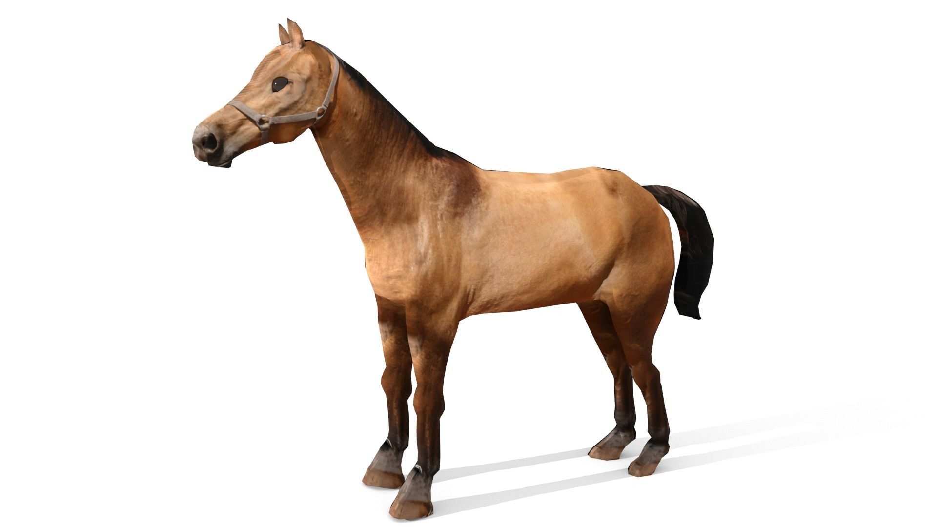 Horse 3D Model galloping Low-poly 3D model_12