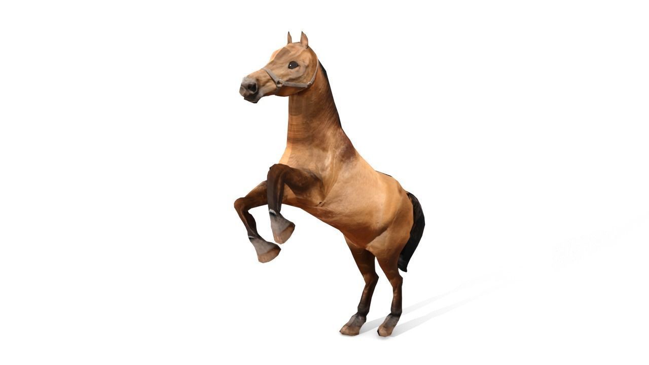Horse 3D Model galloping Low-poly 3D model_13