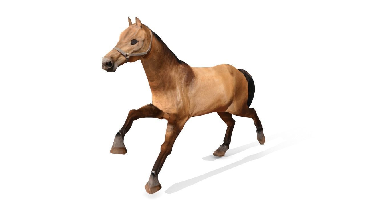 Horse 3D Model galloping Low-poly 3D model_15