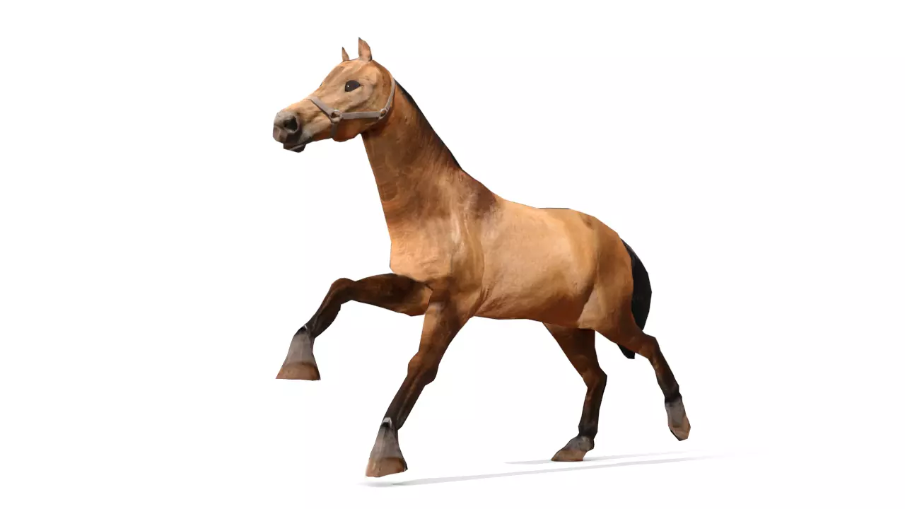 Horse 3D Model galloping Low-poly 3D model_0