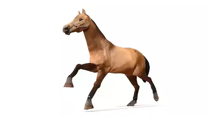 Horse 3D Model galloping Low-poly 3D model