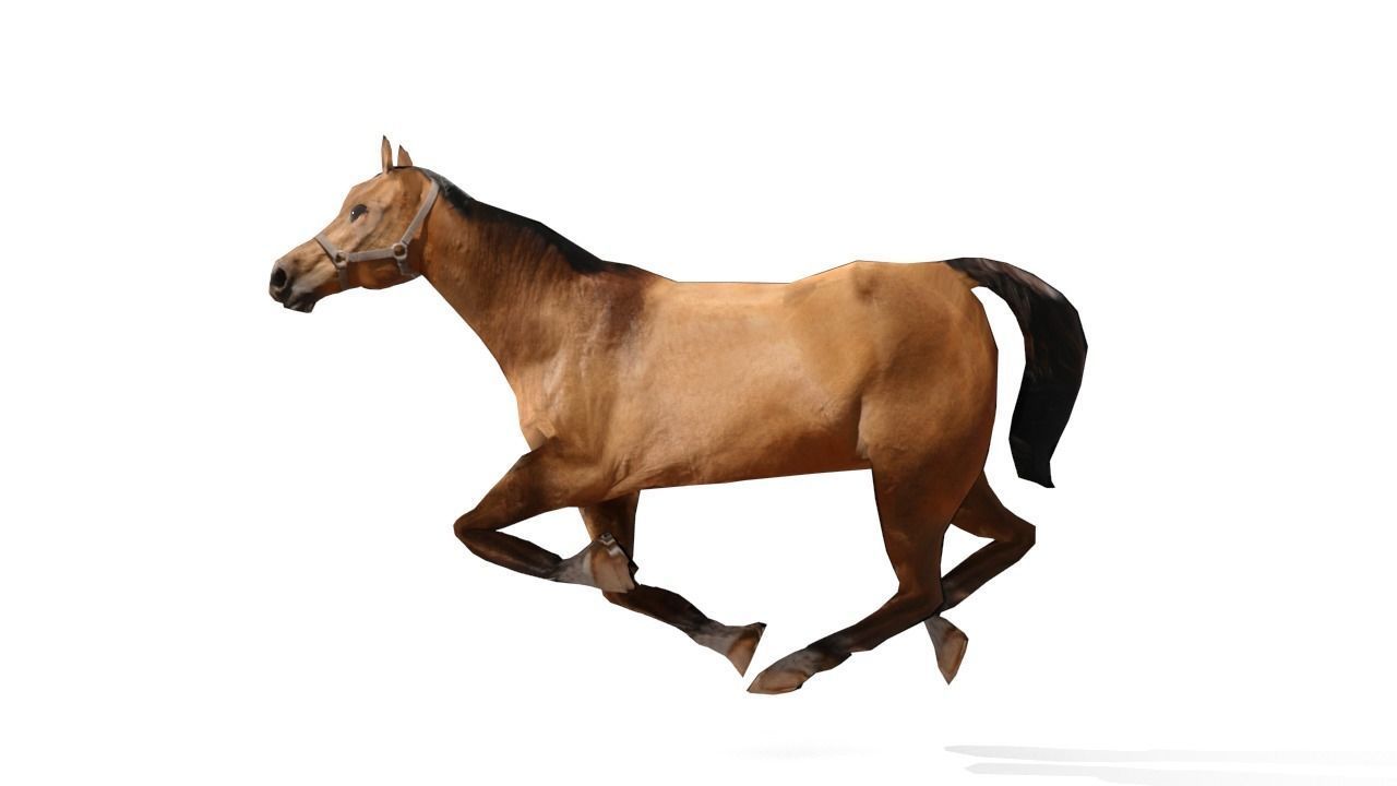Horse 3D Model galloping Low-poly 3D model_8