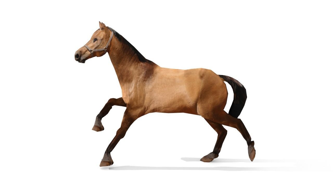 Horse 3D Model galloping Low-poly 3D model_19