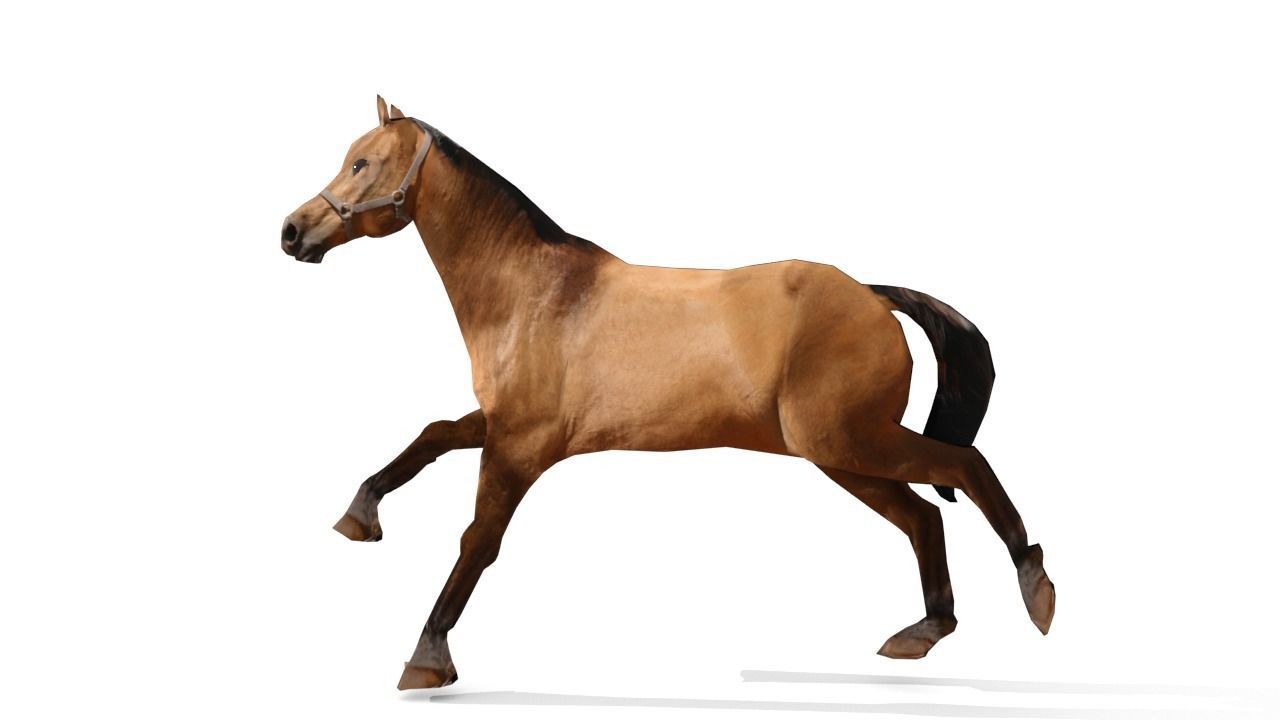 Horse 3D Model galloping Low-poly 3D model_2