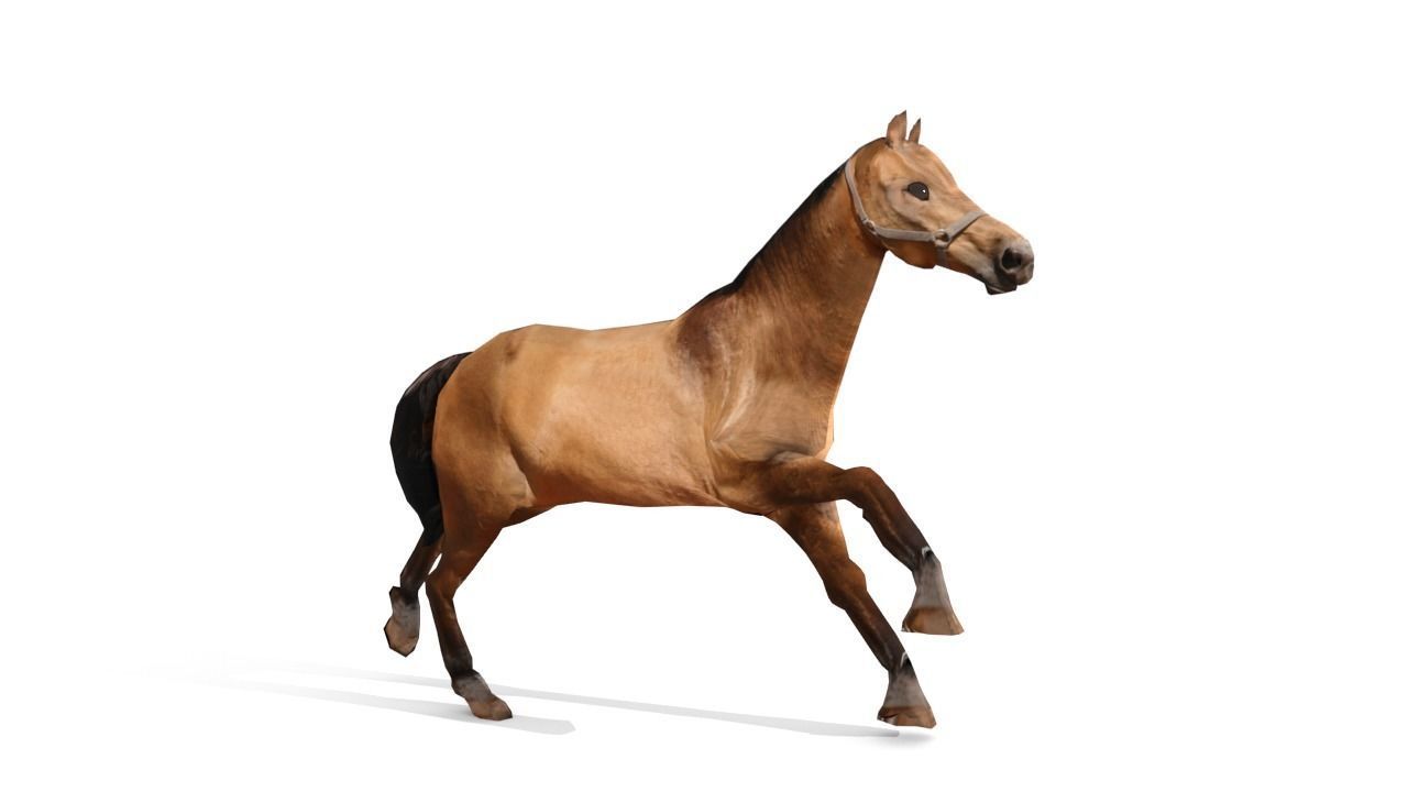 Horse 3D Model galloping Low-poly 3D model_3