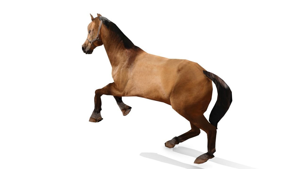 Horse 3D Model galloping Low-poly 3D model_7