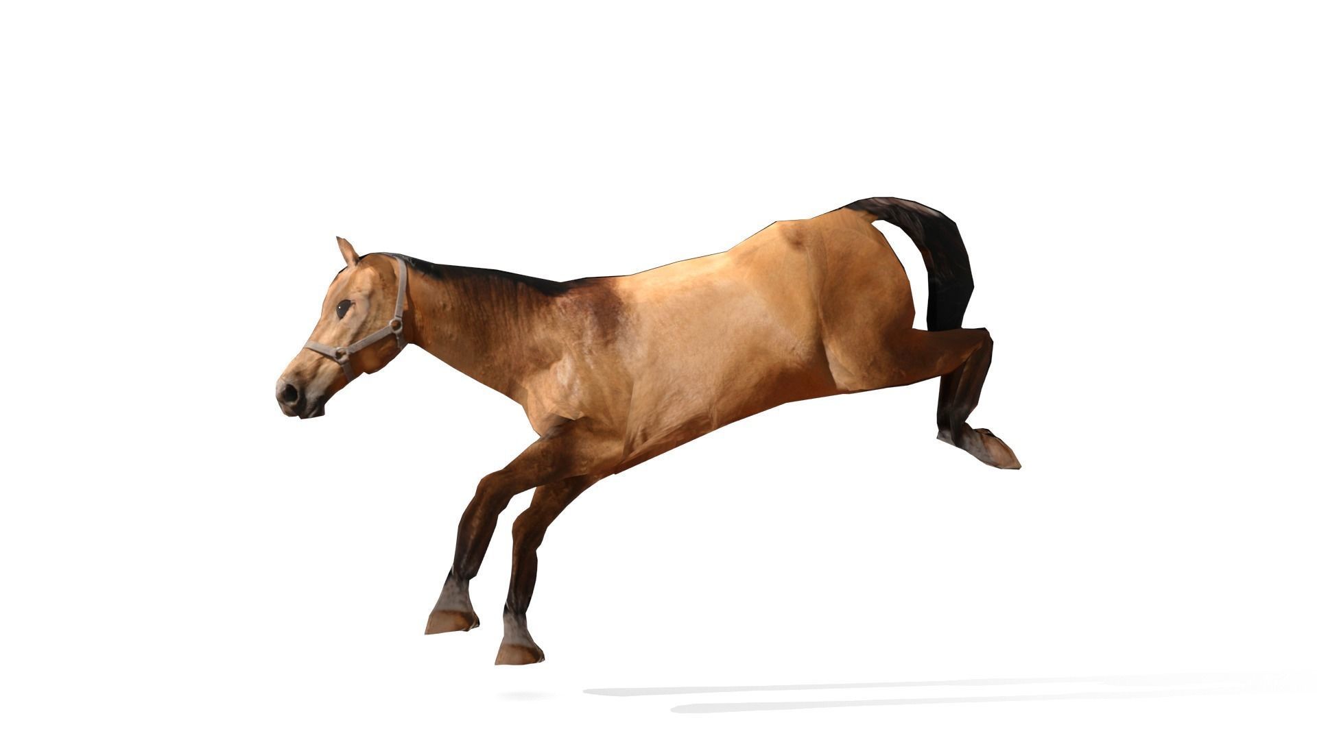 Horse 3D Model galloping Low-poly 3D model_10