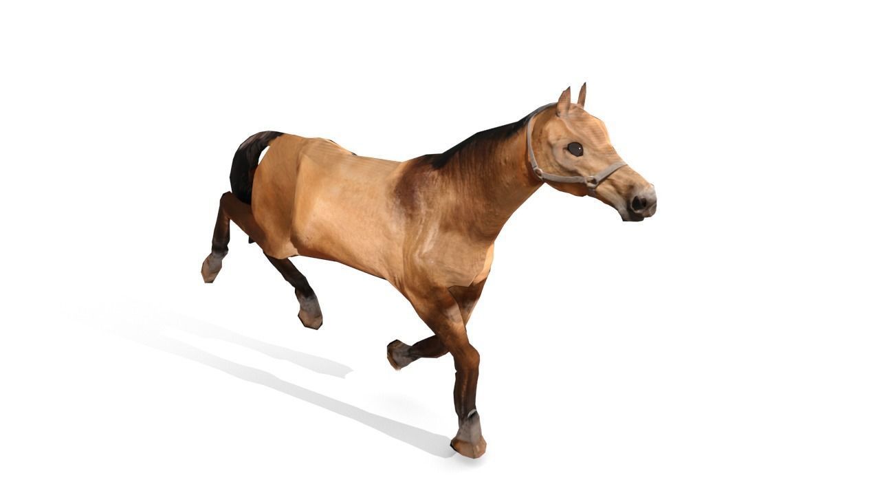 Horse 3D Model galloping Low-poly 3D model_4