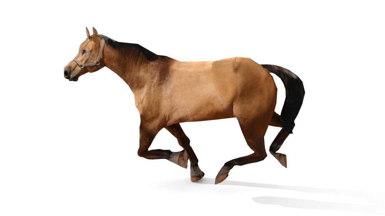 Horse 3D Model galloping Low-poly 3D model_6