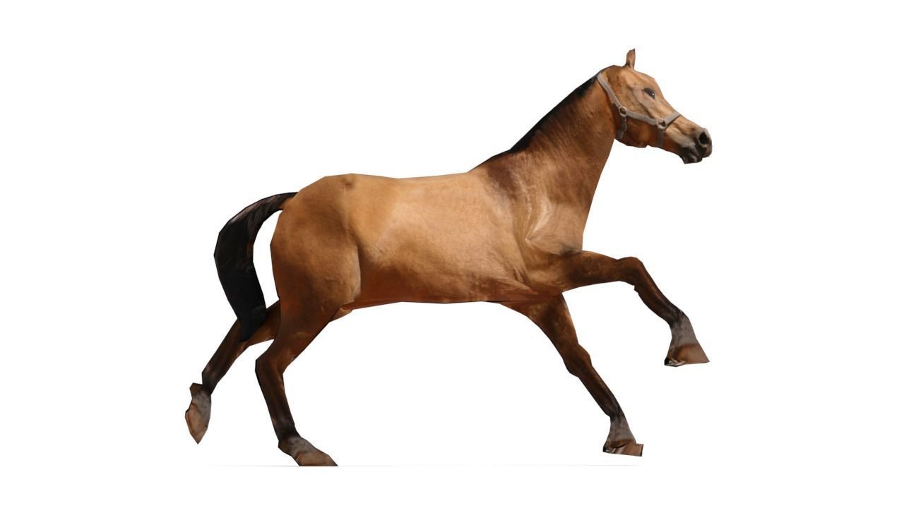Horse 3D Model galloping Low-poly 3D model_16