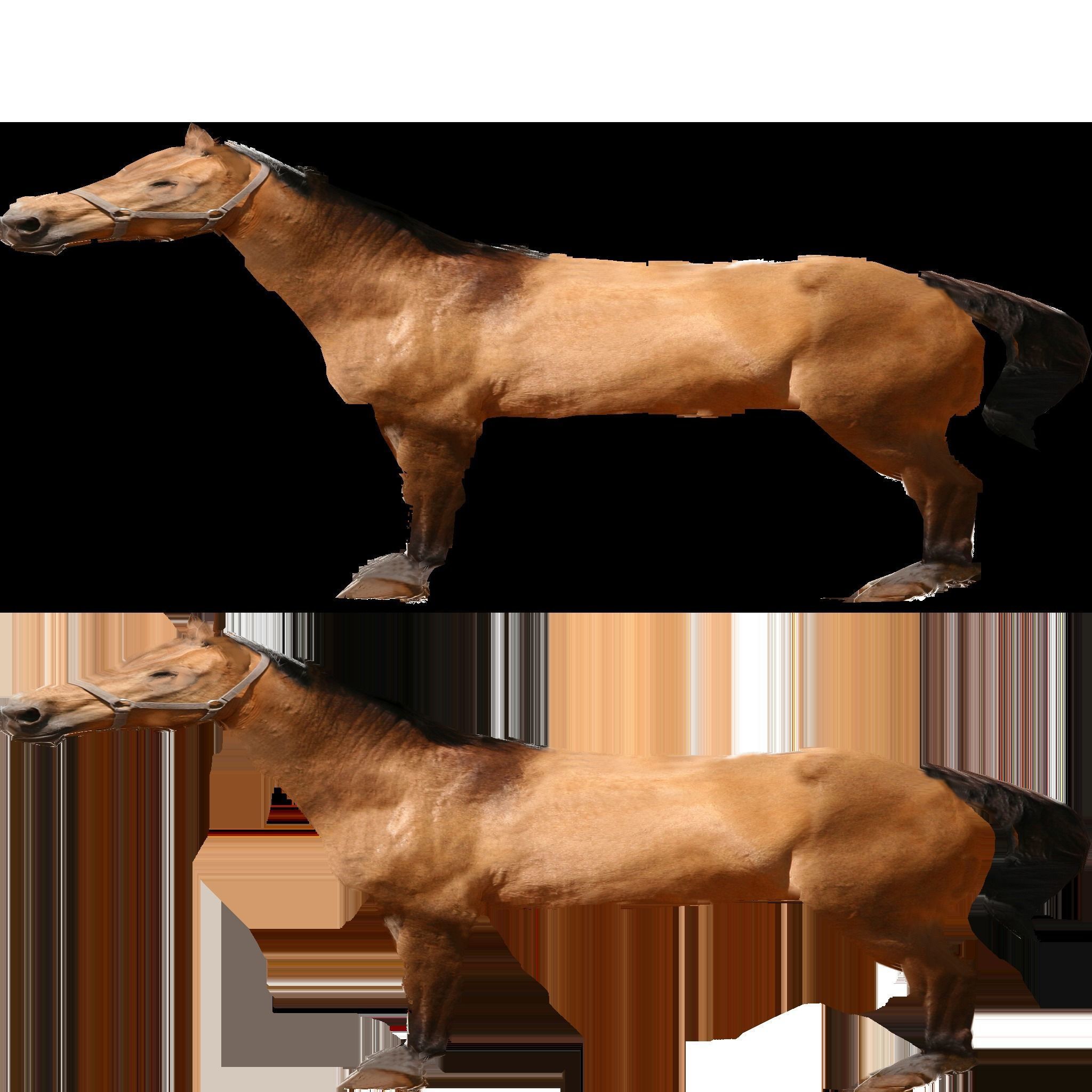 Horse 3D Model galloping Low-poly 3D model_25