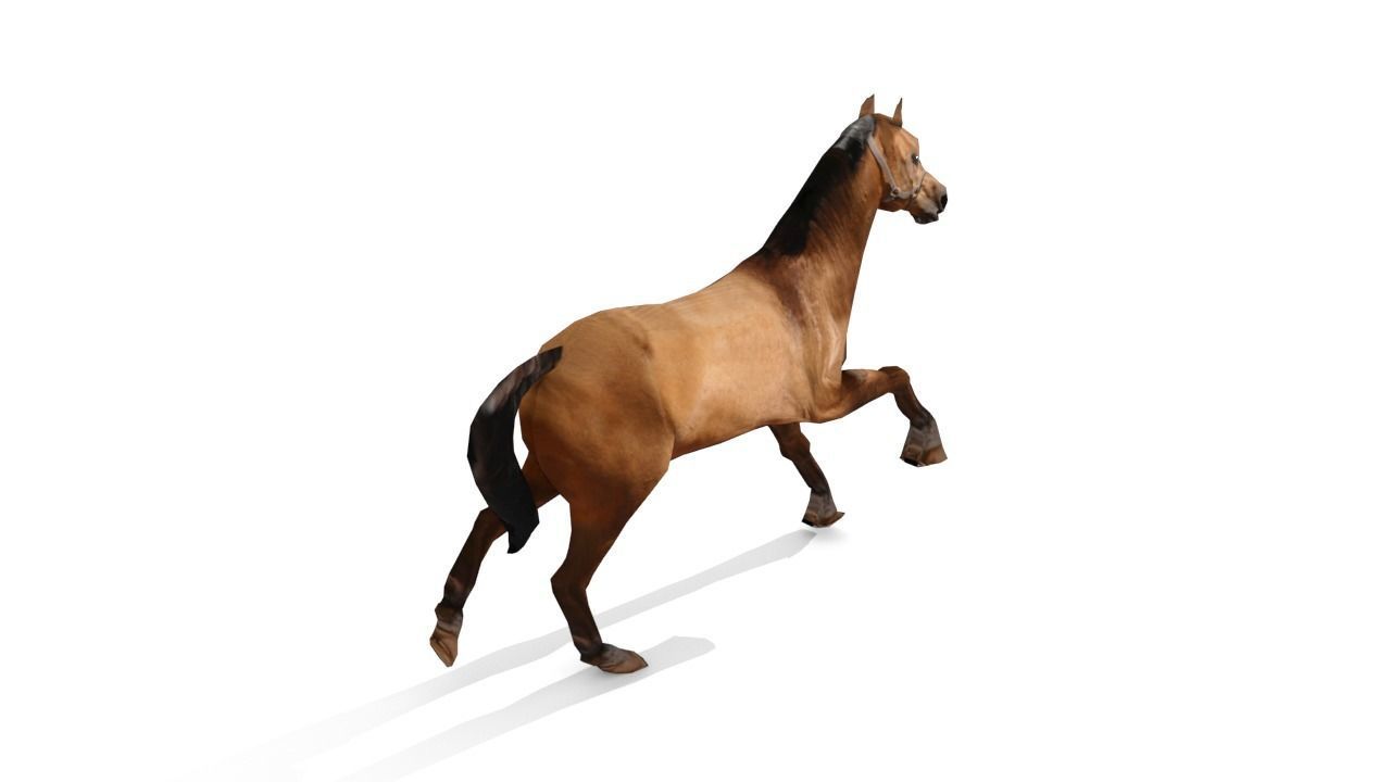 Horse 3D Model galloping Low-poly 3D model_18