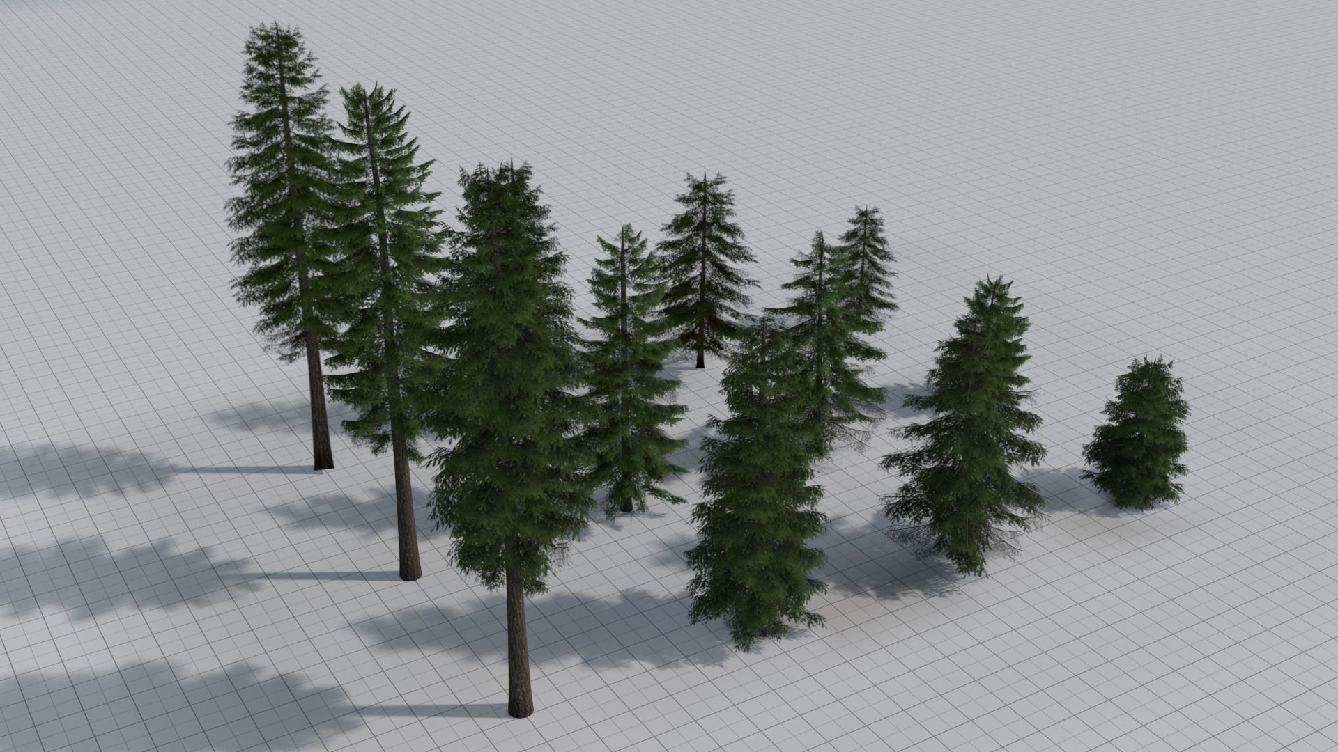 Larch Pine Tree Low-poly 3D model_1