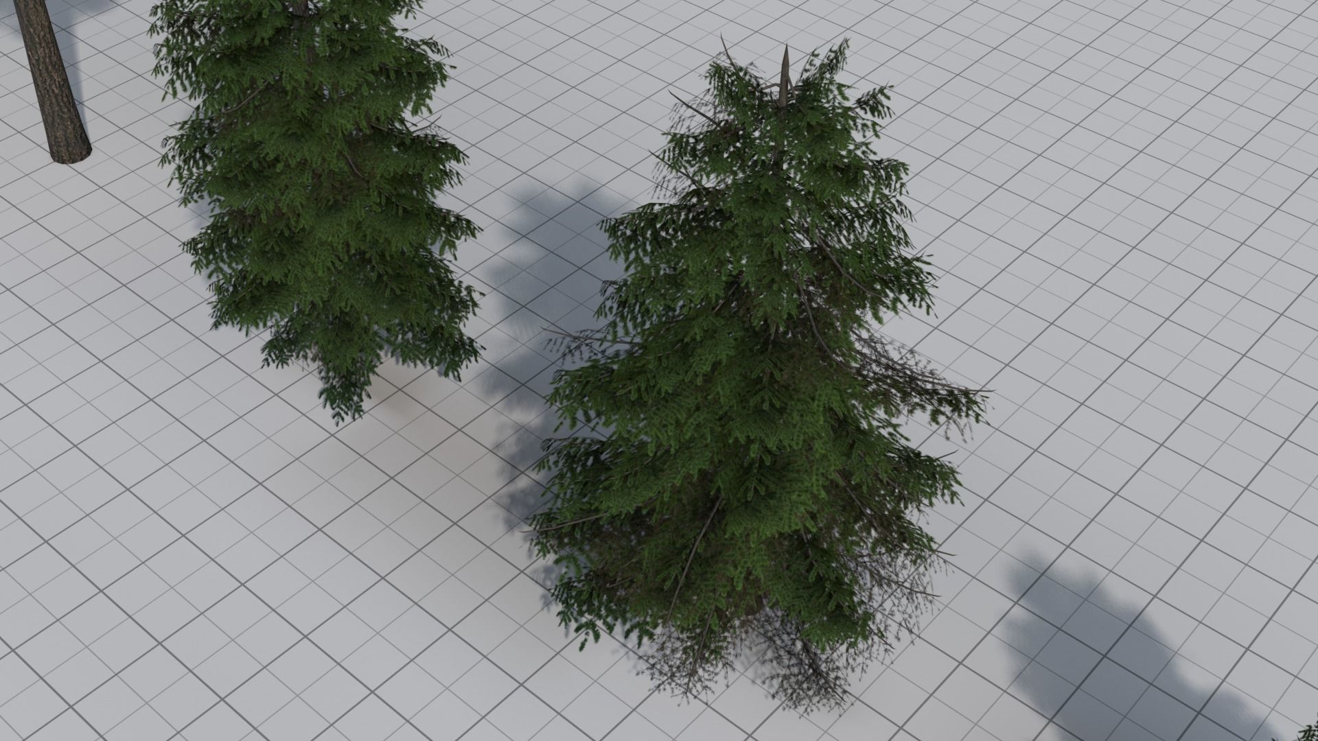 Larch Pine Tree Low-poly 3D model_12