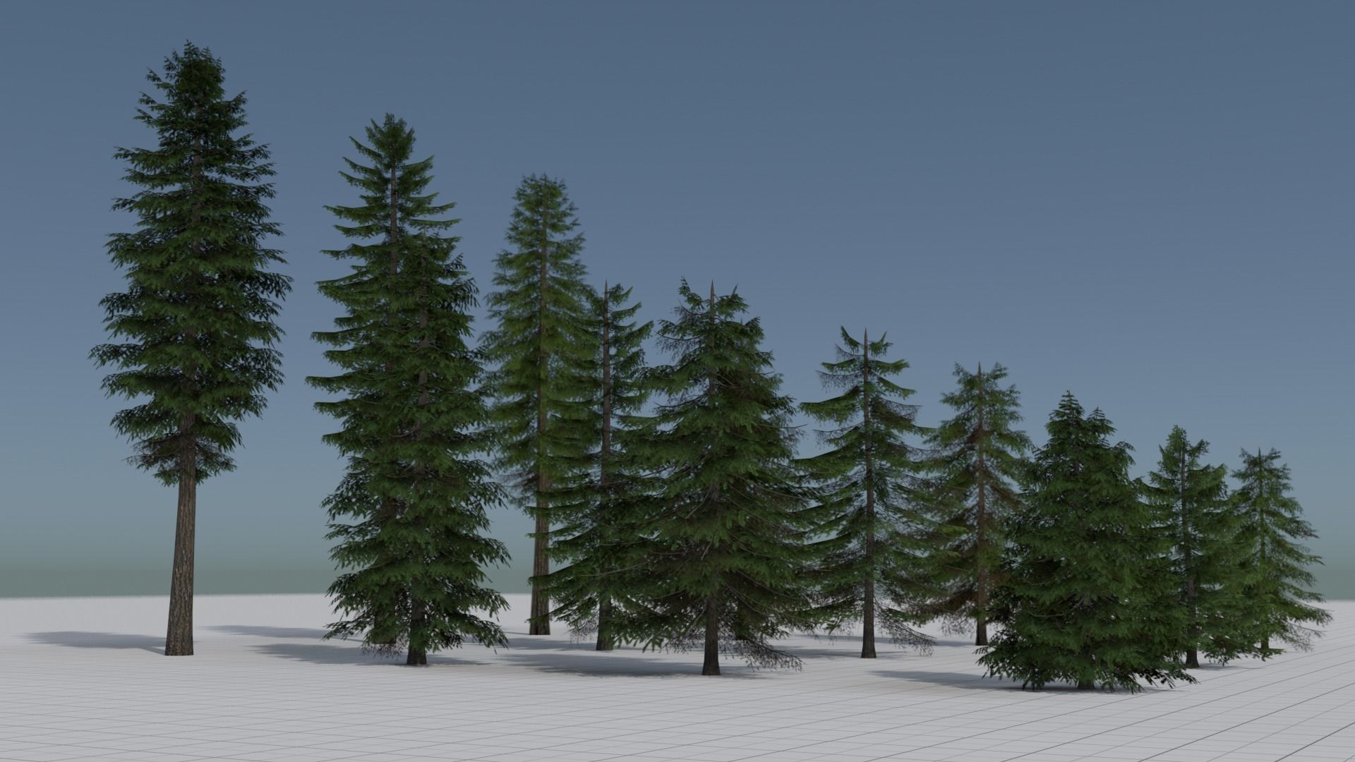 Larch Pine Tree Low-poly 3D model_8