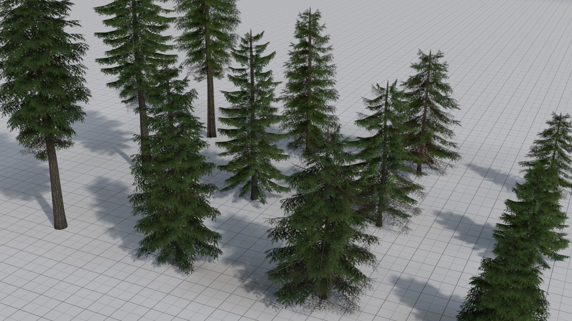 Larch Pine Tree Low-poly 3D model_4