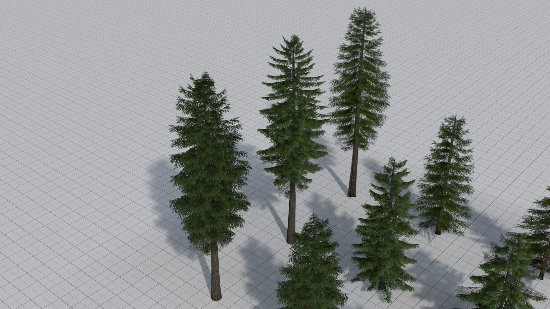 Larch Pine Tree Low-poly 3D model_6