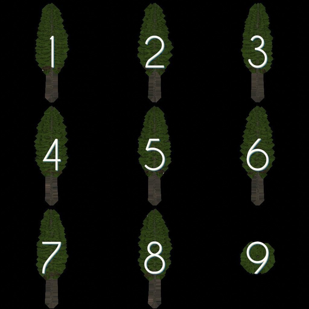 Larch Pine Tree Low-poly 3D model_20